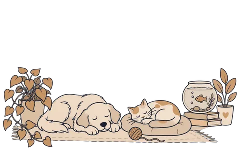 Pets chapter art